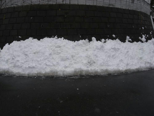 120229-03.jpg