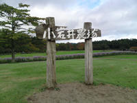SN3J0084.jpg