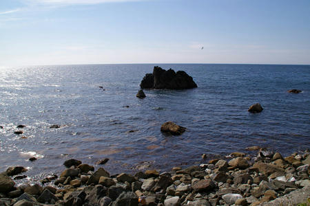 obira006.jpg