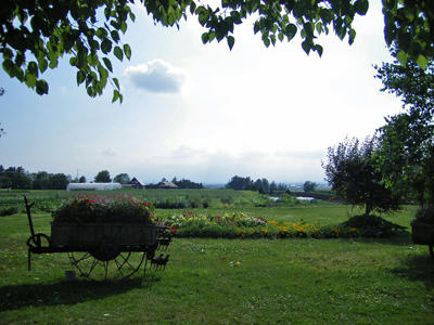 200707_drv16.jpg