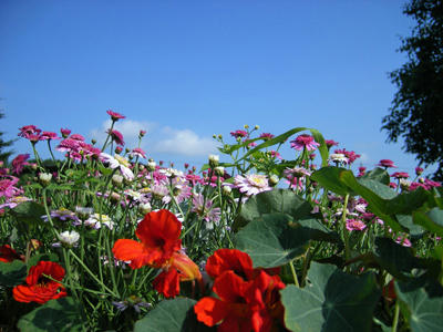 200707_drv17.jpg