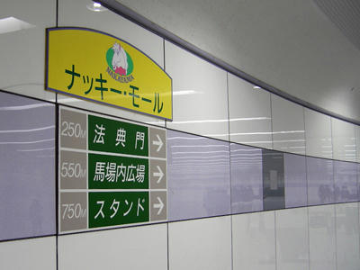 nakayama201.jpg