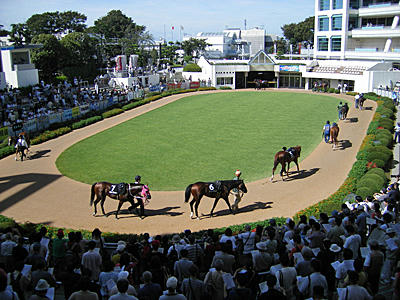 nakayama206.jpg