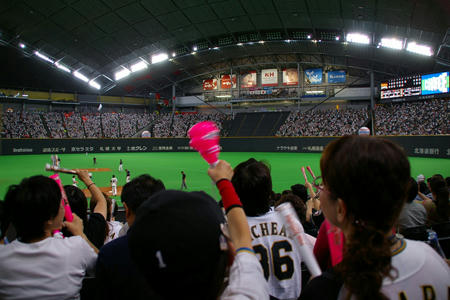 sdome107.jpg