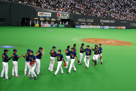 sdome111.jpg