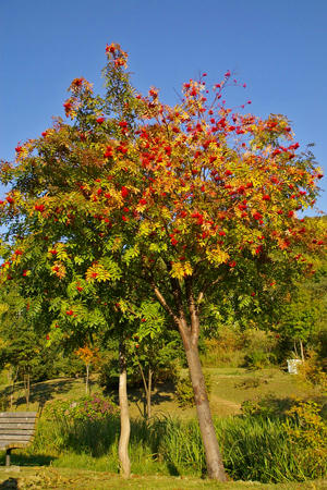 sapporoko104.jpg