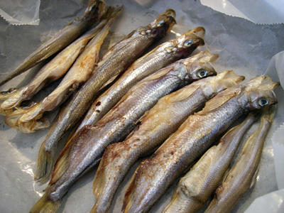 shishamo01.jpg