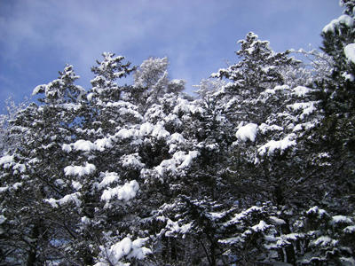 snow02.jpg