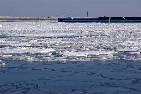 080210garinco02.jpg