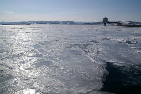 080210garinco03.jpg