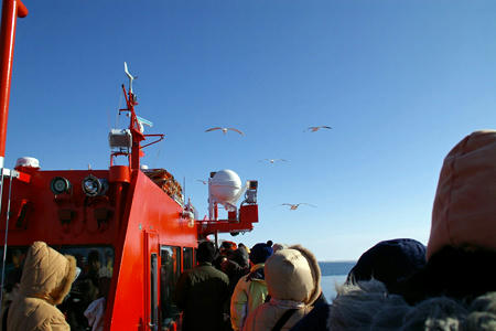 080210garinco05.jpg