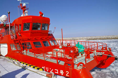 080210garinco09.jpg
