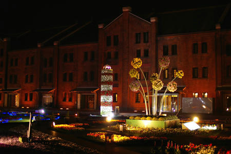 night_yokohama3215.jpg