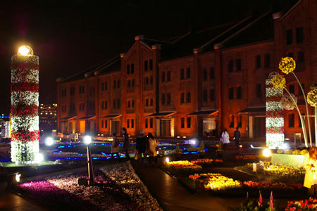 night_yokohama3216.jpg