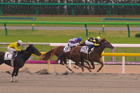 tokyo0804273.jpg