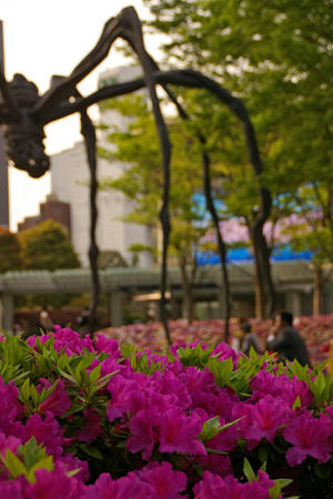 tokyo0804284.jpg