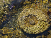 sample2008MAY.jpg