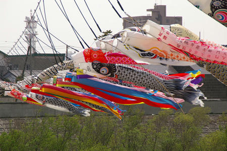 koinobori02.jpg