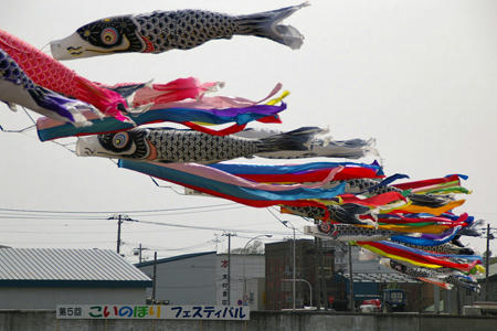 koinobori04.jpg