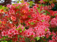 sample2008JUN.jpg