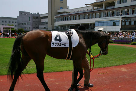08hakodate22.jpg