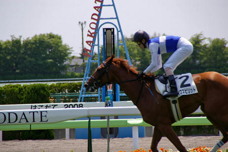 08hakodate26.jpg