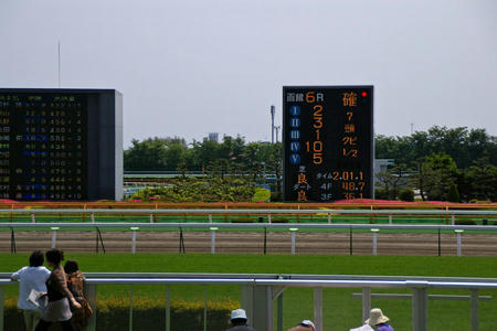 08hakodate27.jpg