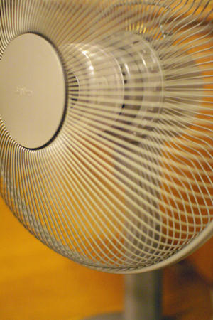 2008natsu01.jpg