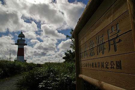 20080809_syakotan11.jpg