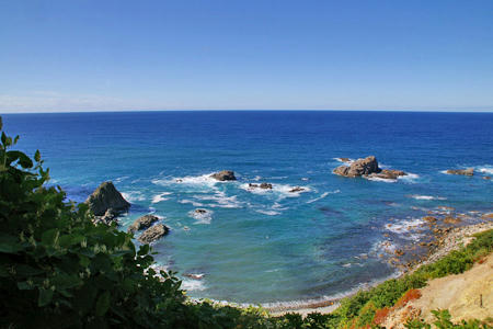 20080809_syakotan12.jpg