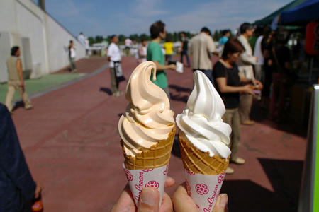 2008jra_sap04.jpg