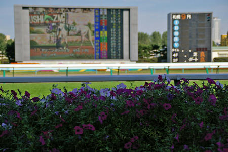 2008jra_sap05.jpg