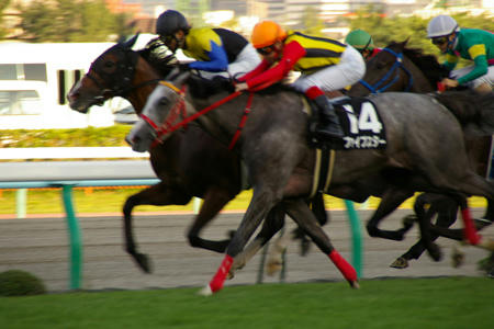 2008jra_sap09.jpg