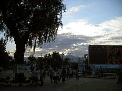 2008jra_sap10.jpg