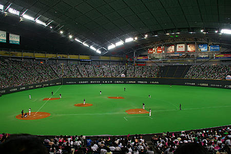 sapdome02.jpg