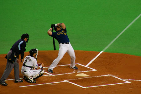 sapdome03.jpg