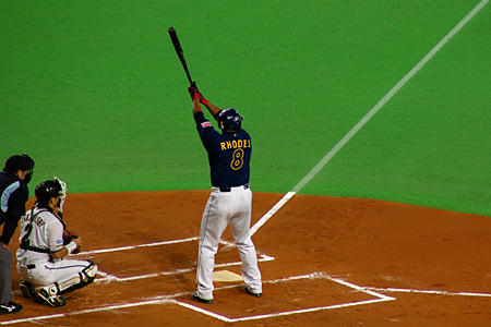 sapdome04.jpg