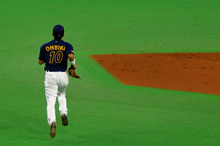 sapdome05.jpg