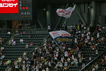 sapdome09.jpg