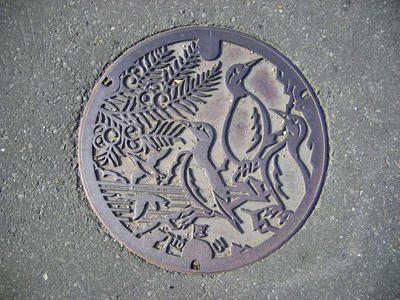 dohoku105m1.jpg