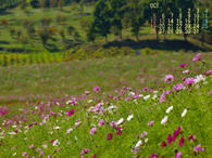sample2008OCT.jpg