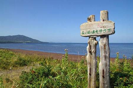 dohoku303.jpg