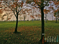 sample2008NOV.jpg