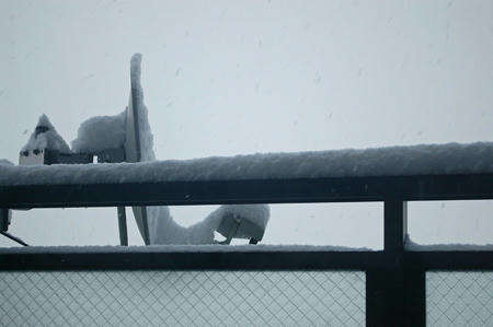 0811_snow2.jpg
