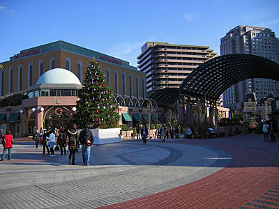 20081221-03.jpg