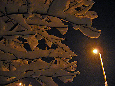 200901snow01.jpg