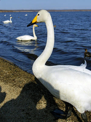 20090411_03.jpg