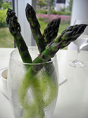 biei_200906_1.jpg