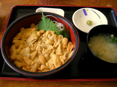 20090809_2.jpg