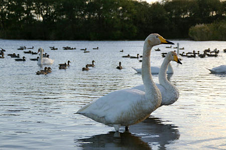 20091011_05.jpg